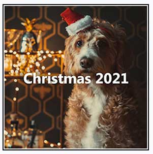 Sweet Dog 2021